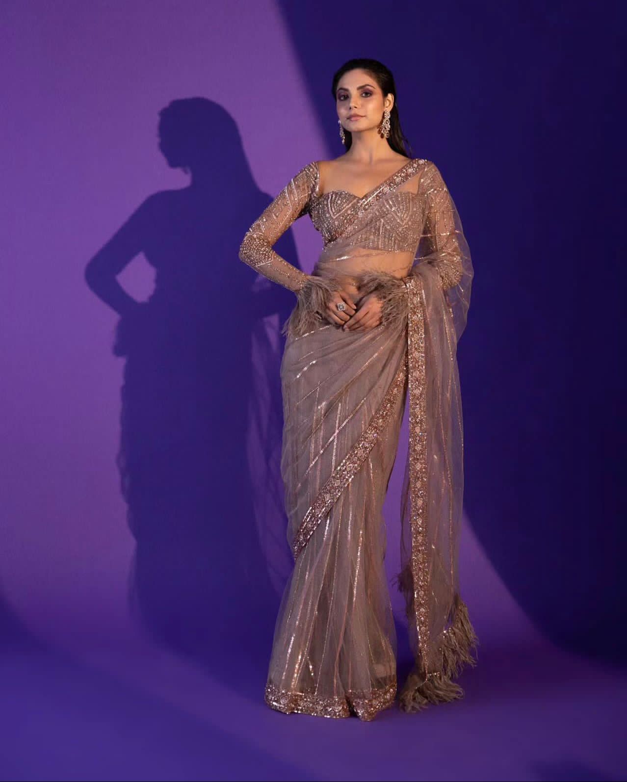 Sandy Beige Net Heavy Sequence Saree - Shopaholics Choice